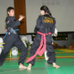 lezioni di taekwondo venezia Dragon Academy Asd