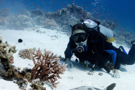 immersione subacquea venezia Subrarinantes Rari Nantes