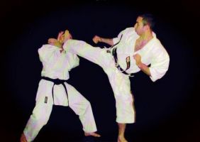 palestre di taekwondo venezia ASD MUSHINDO ACADEMY - CENTRO SPORTIVO VENEZIA