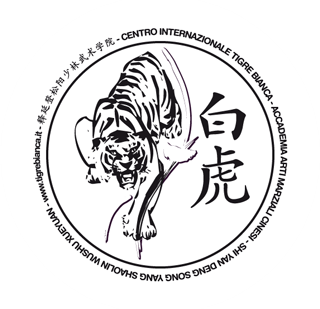 lezioni di tai chi venezia Shaolin Italia - Centro Internazionale Tigre Bianca