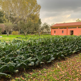 corsi di agricoltura biodinamica venezia Libera Accademia 