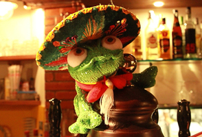 ristoranti di cibo messicano venezia Iguanna