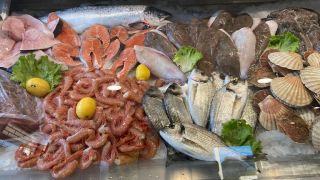 negozi di pesce venezia Migliorini Eros S.r.l. commercio prodotti ittici freschi e congelati